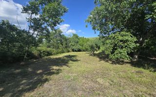 Ansamblu rezidențial cu două case și teren de 1,4 hectare, Bohotin - Poză 9