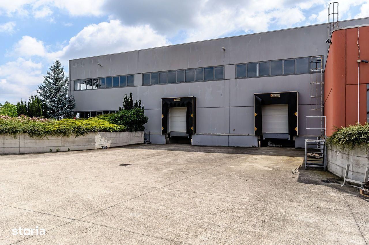 Hală la cheie pentru producție și depozitare Arad - Poză 5
