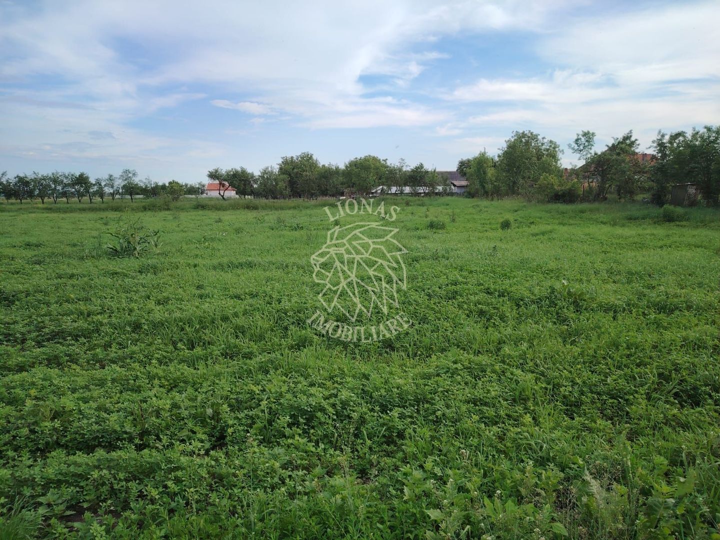 Oportunitate investitie 5 parcele teren intravilan ideal case/servicii-Rascruci - Poză 1