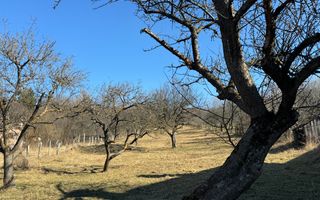 TEREN INTRAVILAN 3400 MP, VOINESTI, LERESTI - Poză 2