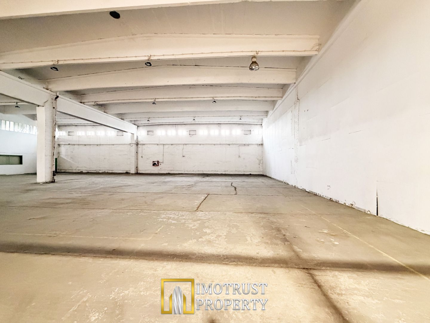 Hala de inchiriat Arad 980 mp 2,5 €/mp acces TIR - Poză 4