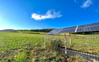 Ferma de vanzare cu 550MP utili si 27.500MP teren la asfalt - Poză 16