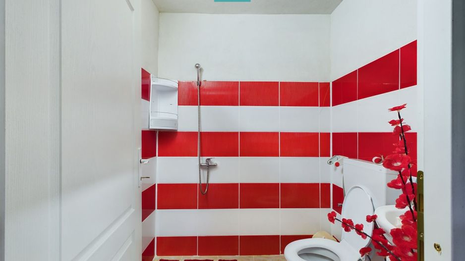 Apartament la casă cu 2 camere zona Boul Roșu - Poză 7