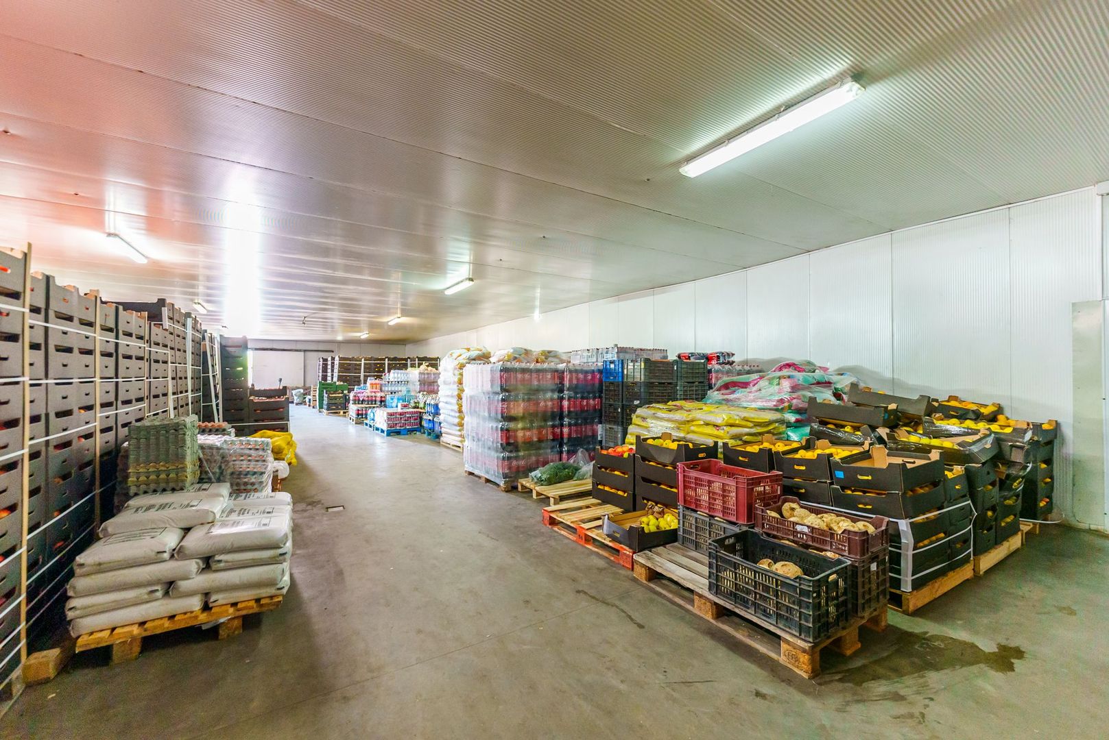 Hală frigo de vânzare în Săcălaz - Poză 8