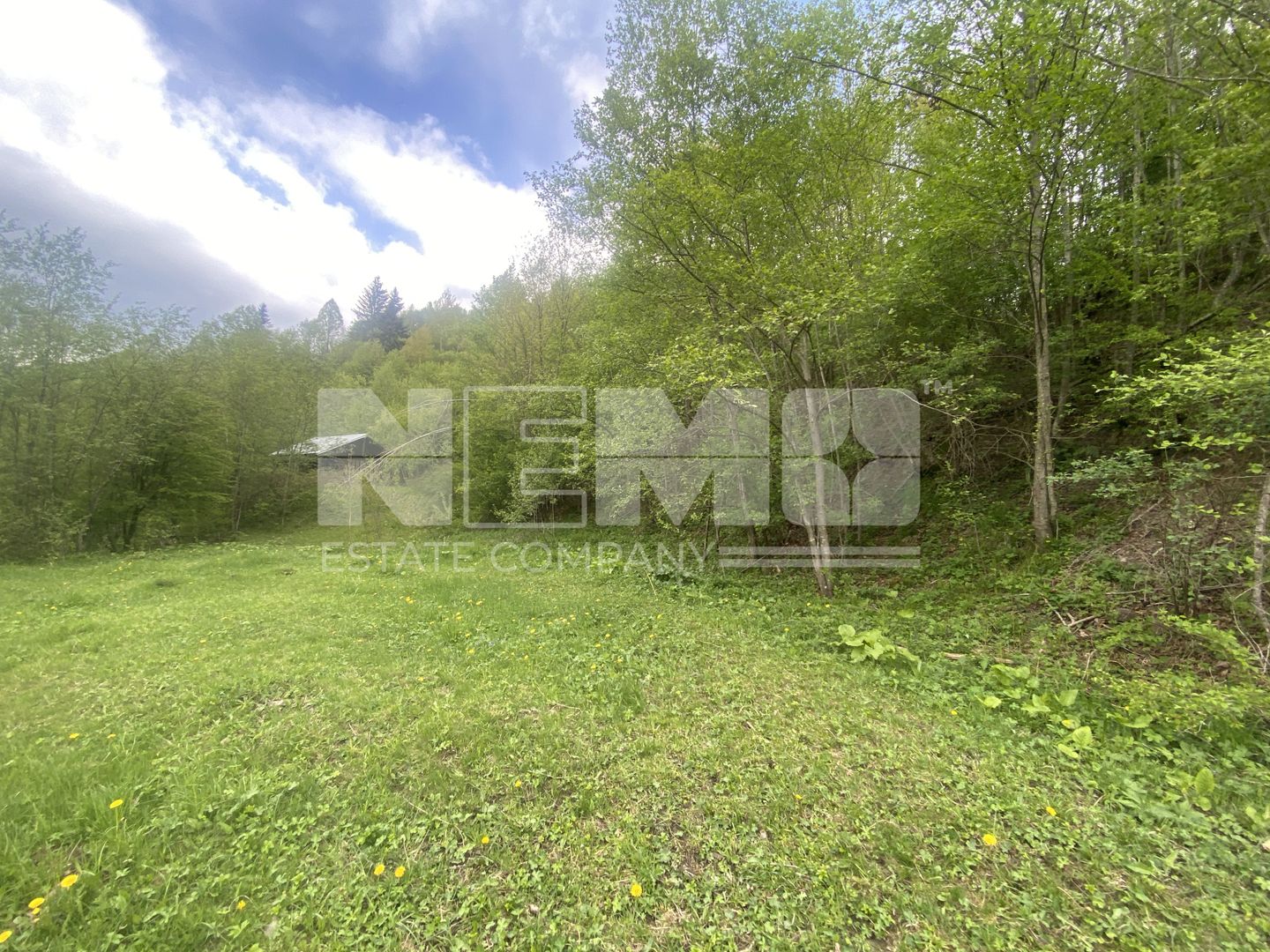 Teren Intravilan | Câmpulung Moldovenesc | 31ARI - Poză 8