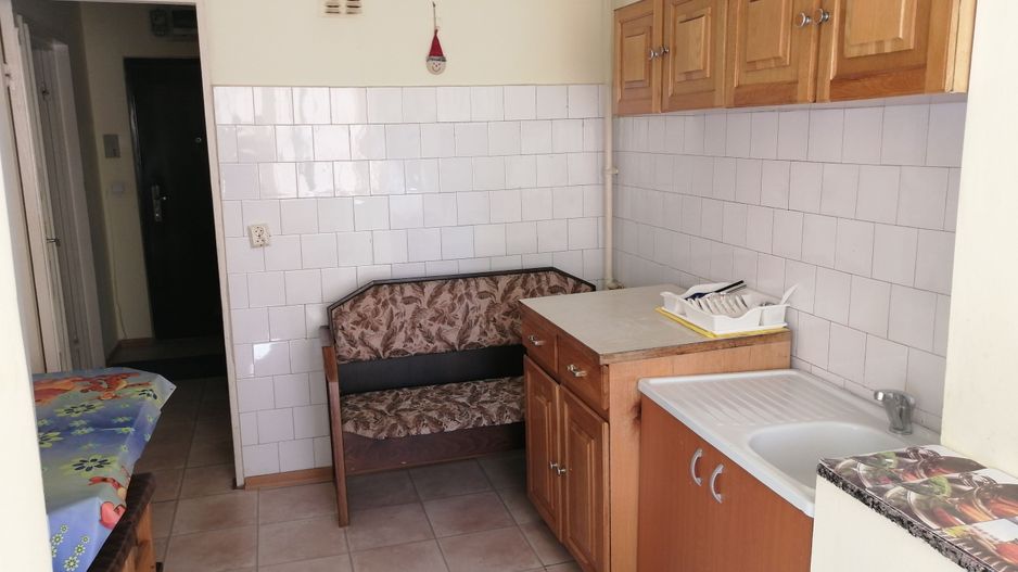 Inchiriere 2 camere Bdul Grivitei - Poză 4