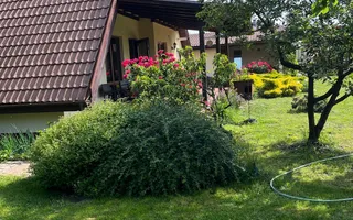 Casă elegantă, spațioasă, ideală pentru familie – Sanmihaiu Roman - Poză 32