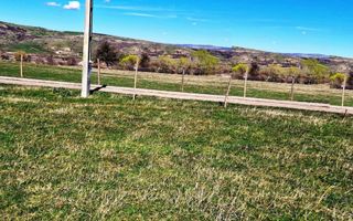 Teren situat în Daia Nouă!! - Poză 3