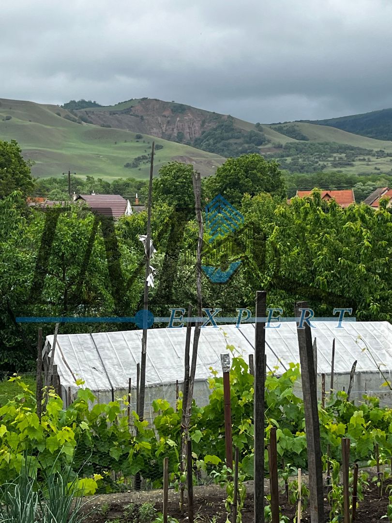Casa renovata de vânzare in Lancram - Poză 10