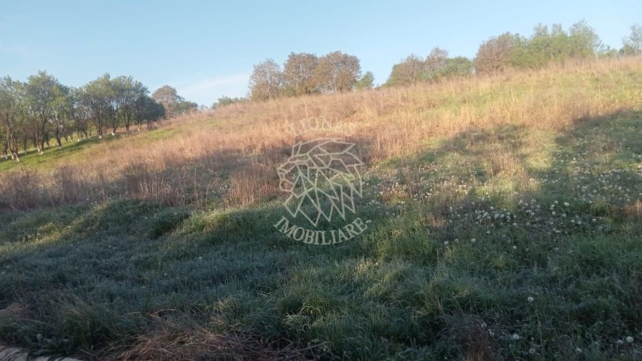 Teren intravilan 100 ari  front 80 ml utilități drum asfaltat Ghirolt Gherla - Poză 2