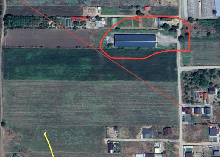 Hala 1.533 mp cu teren 5.000 mp – Vanatori, zona Maylo - Poză 3