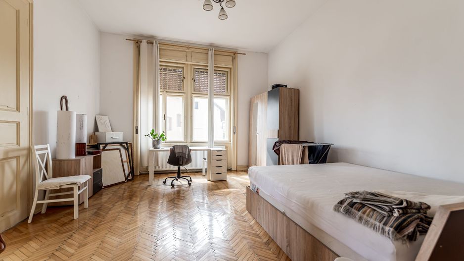 3 camere în Palatul Gemeinhardt, pe malul Begăi | Timișoara - Poză 3