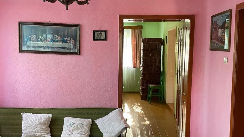 Casa parter 35 km de la Timisoara - Poză 2