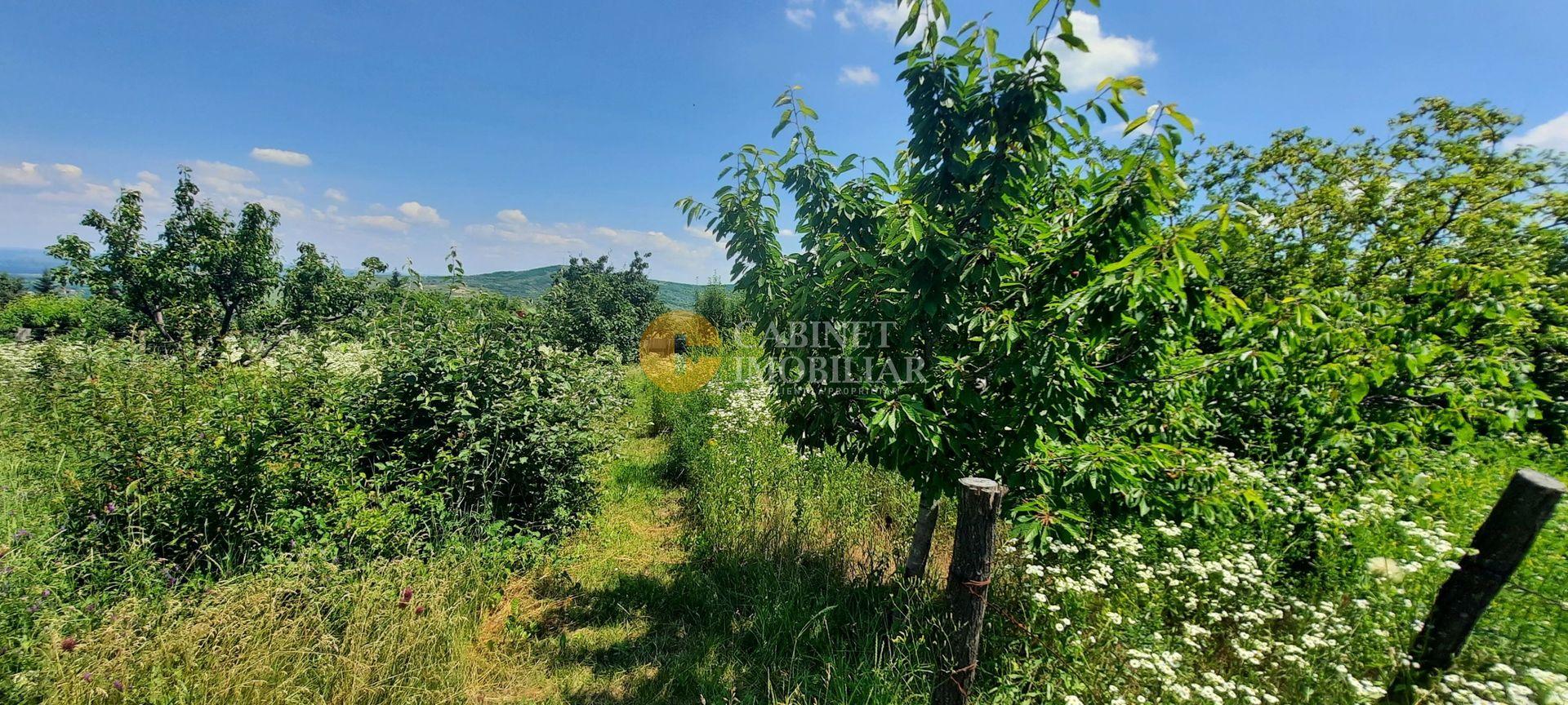 CASA PLAN PARTER + MANSARDA  1850  MP TEREN - Costuleni,Hilita🌿 - Poză 21