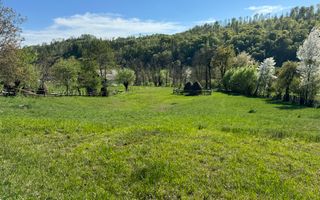 TEREN INTRAVILAN 2592 MP,  ALBESTI DE MUSCEL, ARGES - Poză 18