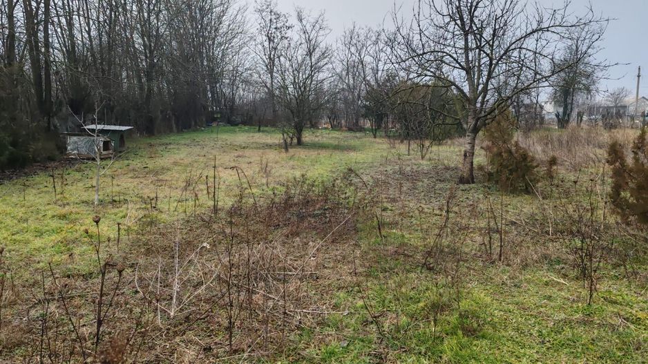 Teren 2.600 mp, utilități, Str. Merișor – Giurgiu - Poză 6