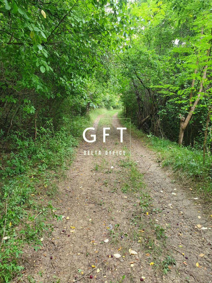 Teren extravilan de vanzare,  zona Lempes, 3000 mp - Poză 3