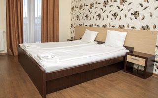 Pensiune, teren 4.460 mp, Hidișelul de Jos, Bihor. 685.000 Euro (neg). - Poză 29