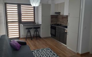 Apartament 2 Camere Open Space – Complex Bucium Confort - Poză 3