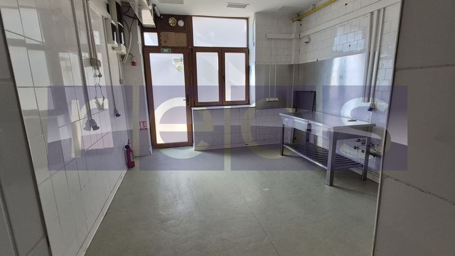 INCHIRIERE SPATIU COMERICAL PACHE PROTOPOPESCU FOISOR DE FOC 158MP - Poză 6