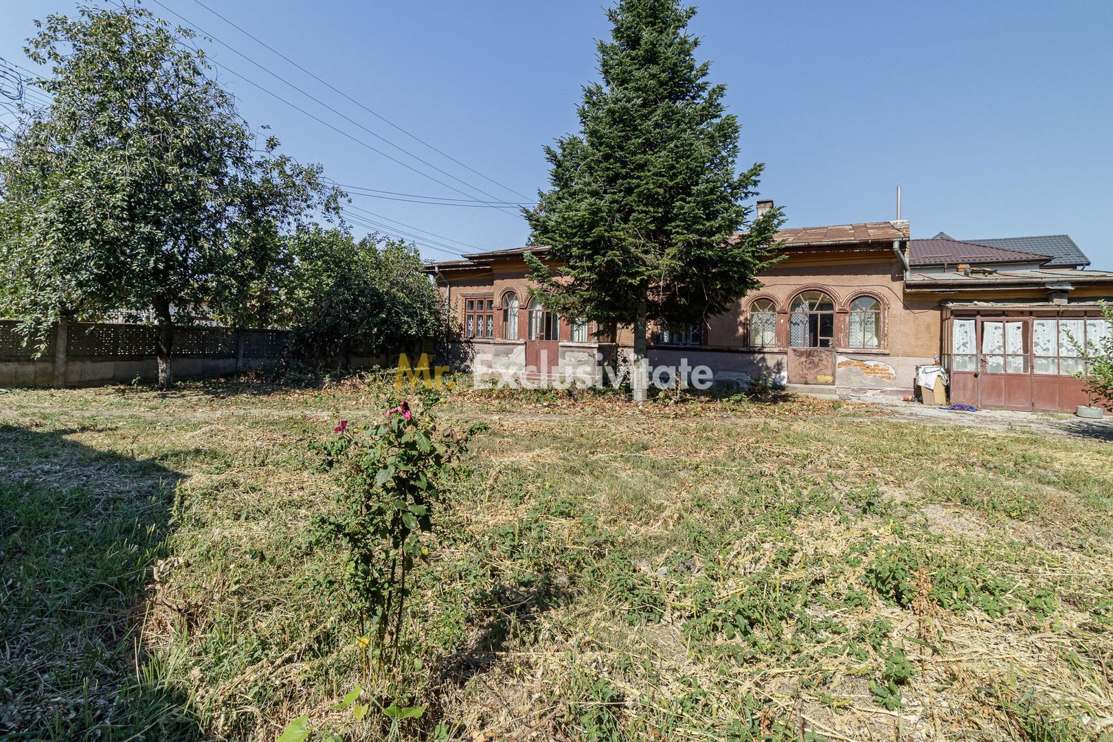 teren 3889 mp Domnesti Primarie - Poză 5