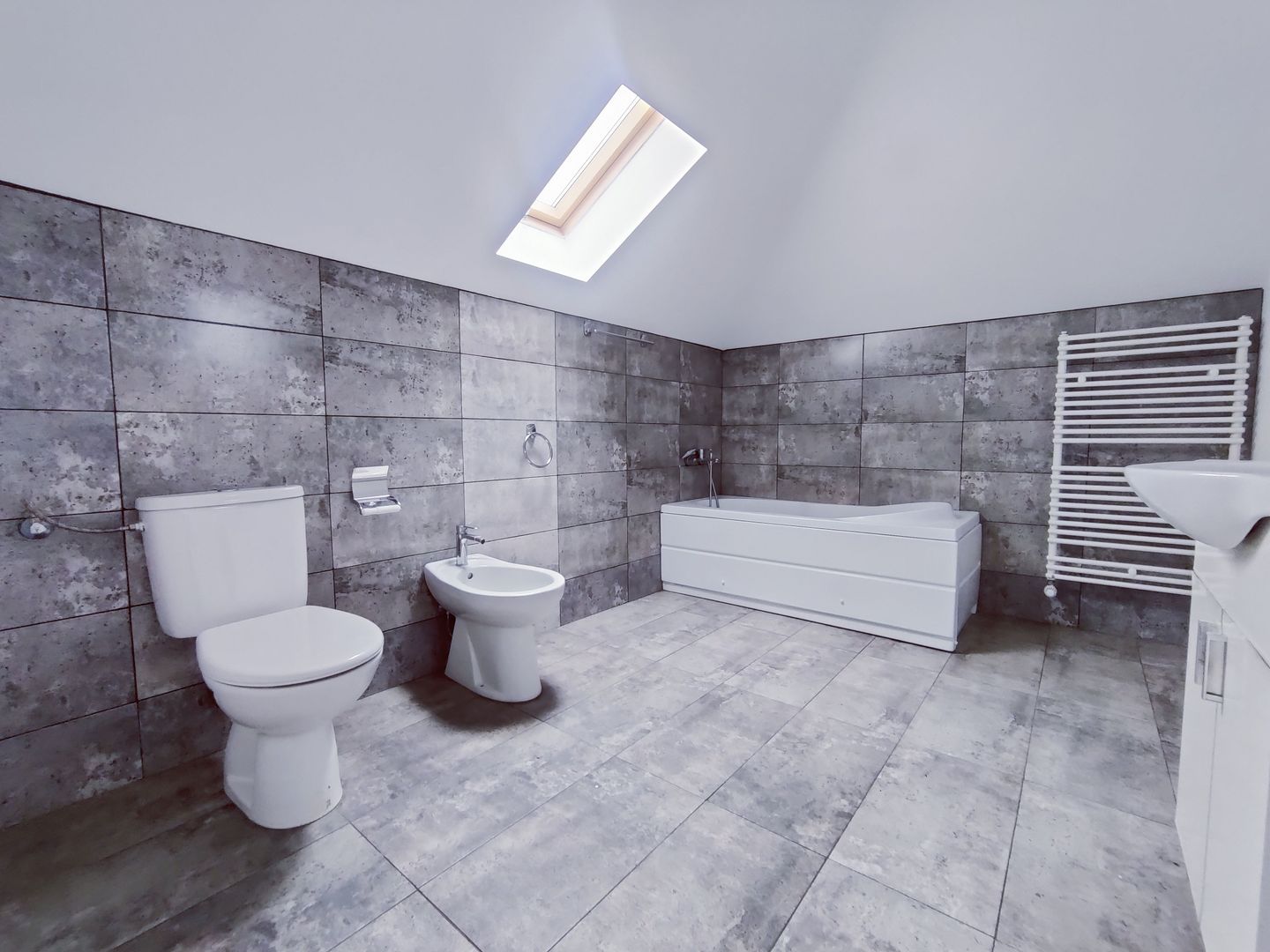 CASA SACALAZ 170 MP CU 640 MP TEREN - Poză 25