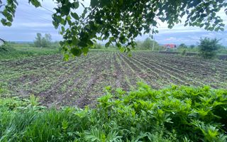 Casa la Tara | Balinesti | 16 ARI - Poză 11