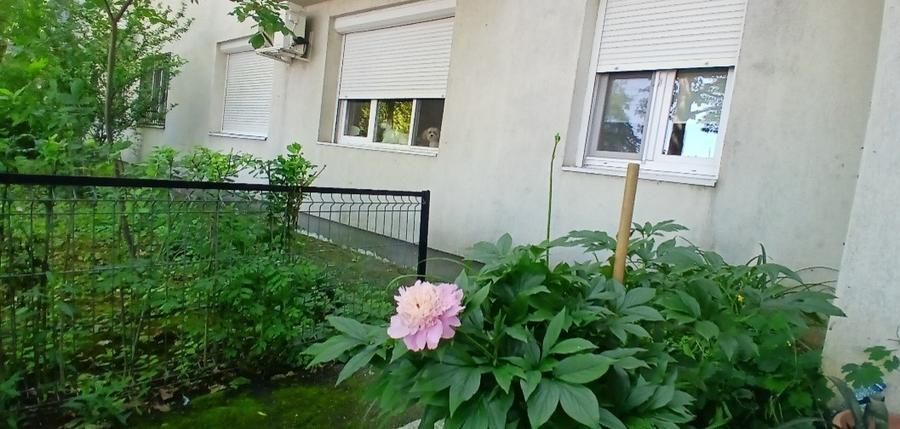 Vanzare Apartament 2 camere | Pajura – Sector 1 | Locuință, birou sau cabinet ✨ - Poză 15