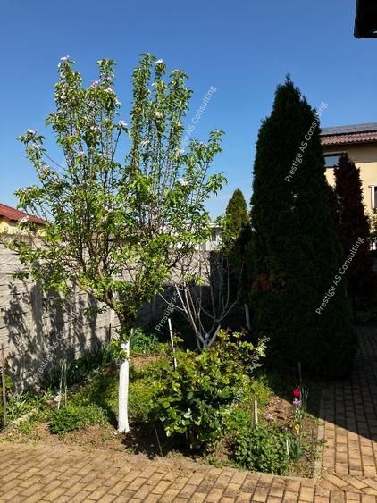 Apartament 3 camere | Parcare | Curte privata bloc - Poză 8