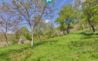 Proprietate rară cu 24.270 mp, în Măgulicea, Arad! - Poză 28