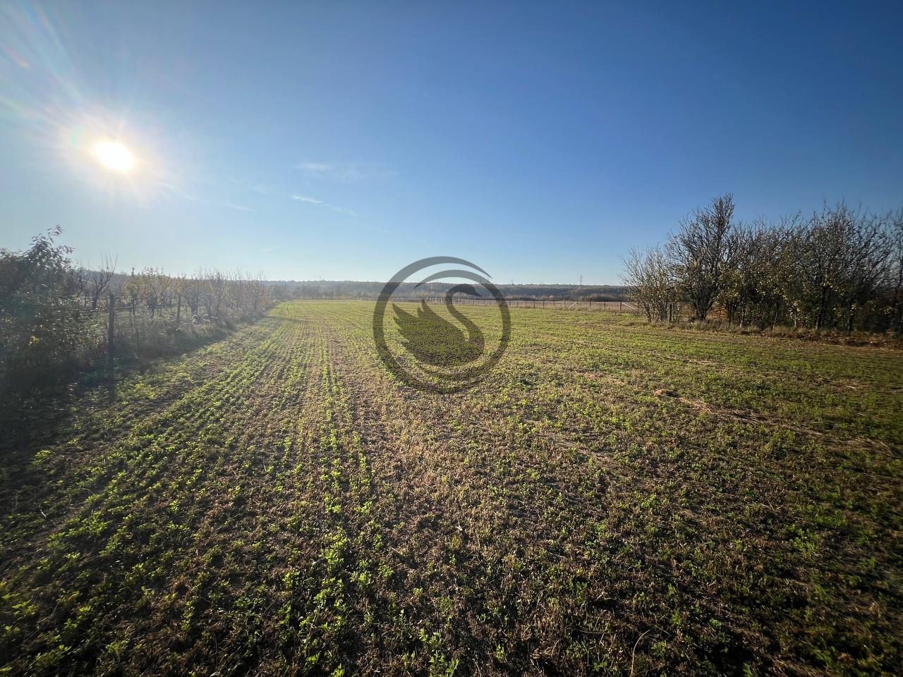 Teren intravilan de vanzare | 12.650 mp | Ghirdoveni | Comision 0% - Poză 13
