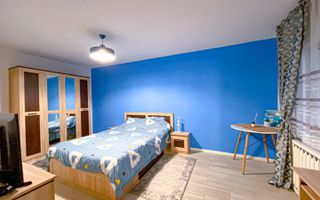 Apartament 1 camera in zona Piata Zorilor si UMF - Poză 11