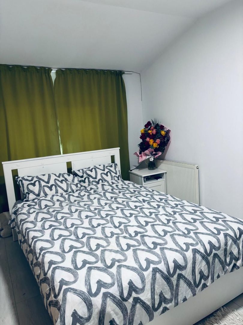 Dambovita | 3 Camere | Decomandat | Centrala Proprie - Poză 4