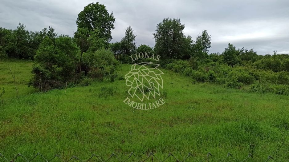 Casa 3 camere la DJ-renovata-teren 1000 mp-garaj-Blajenii de Jos - Poză 4