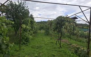 Casă 4 camere | Mănăilești, Vâlcea | 134 mp, teren 1.556 mp - Poză 22