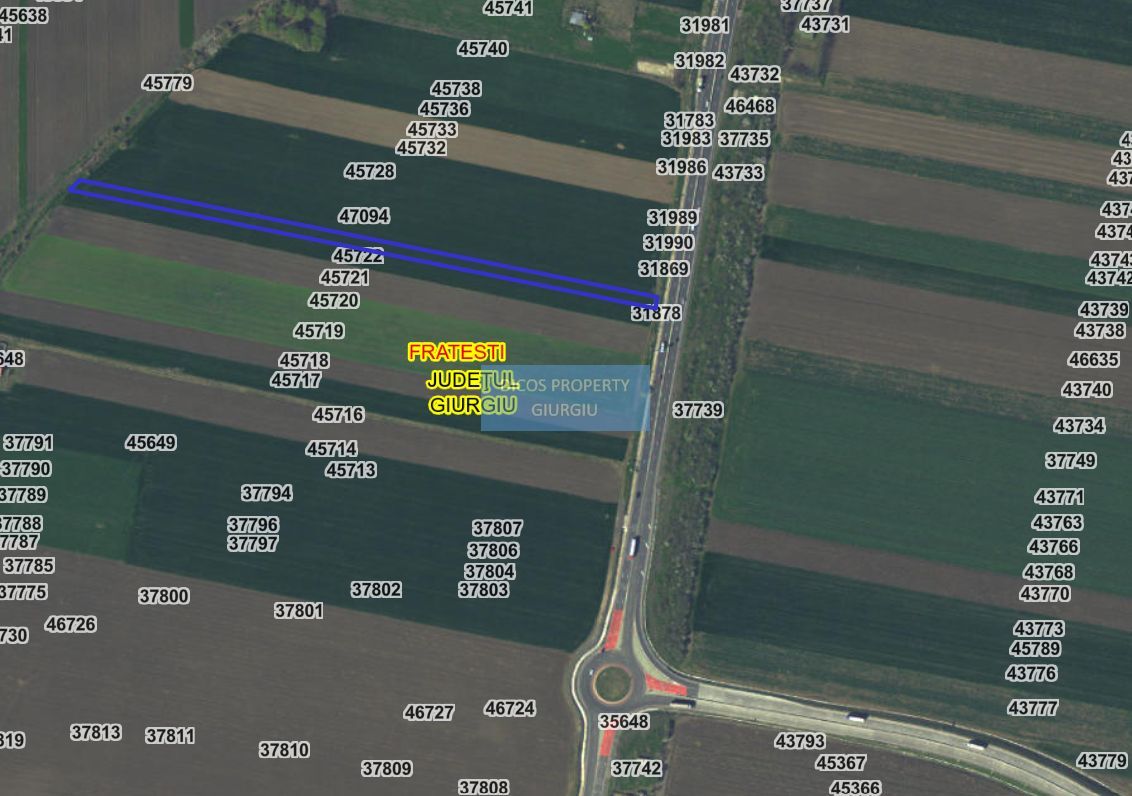 Teren extravilan 5000 mp – deschidere DN5 - Poză 1