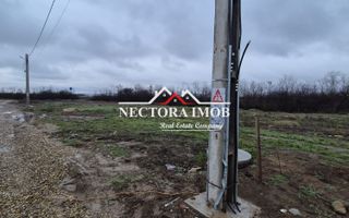 NECTORA IMOB-Teren Intravilan 501 mp, cu front 19ml, Nojorid,Utilitati - Poză 4