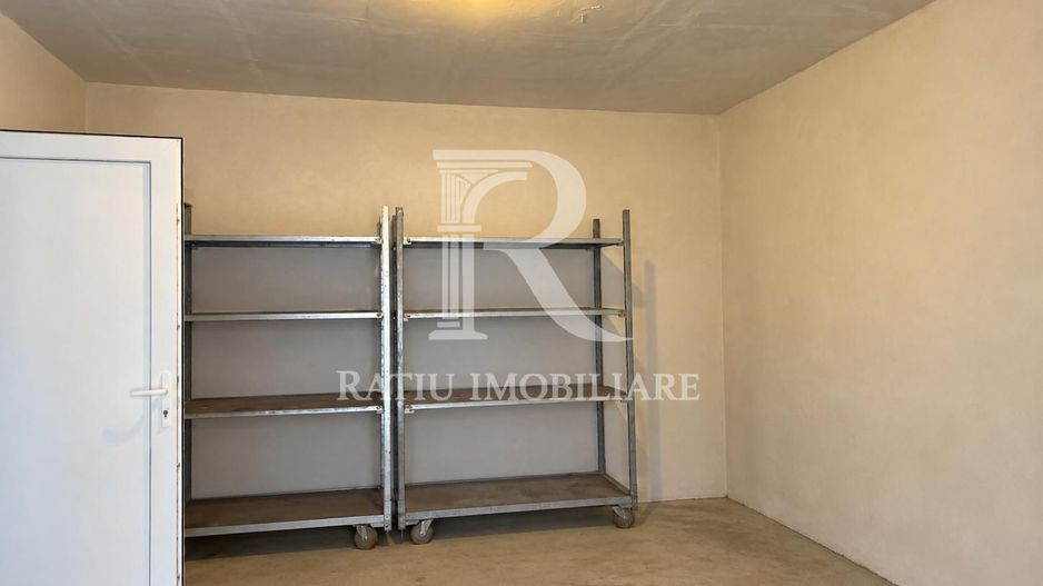 Teren intravilan agricol | 7029 mp | Satu Nou | Bihor - Poză 19