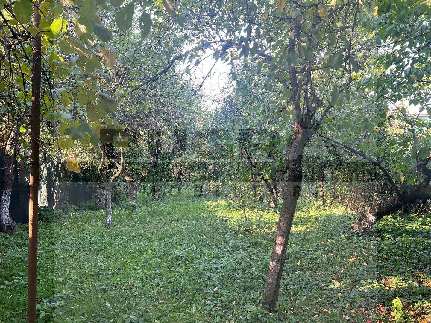 Casa individuala, 70mp, moderna,  petfriendly, zona Stadion CFR - Poză 14