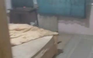 Apartament 3 camere – 72 mp | Etaj 1/4 | An 1982 | Rahova - Poză 2