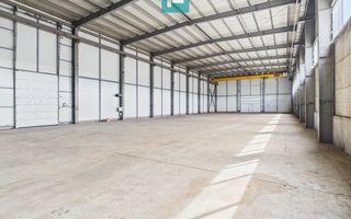 Hală industrială cu pod rulant de 3 tone în Arad - Poză 6