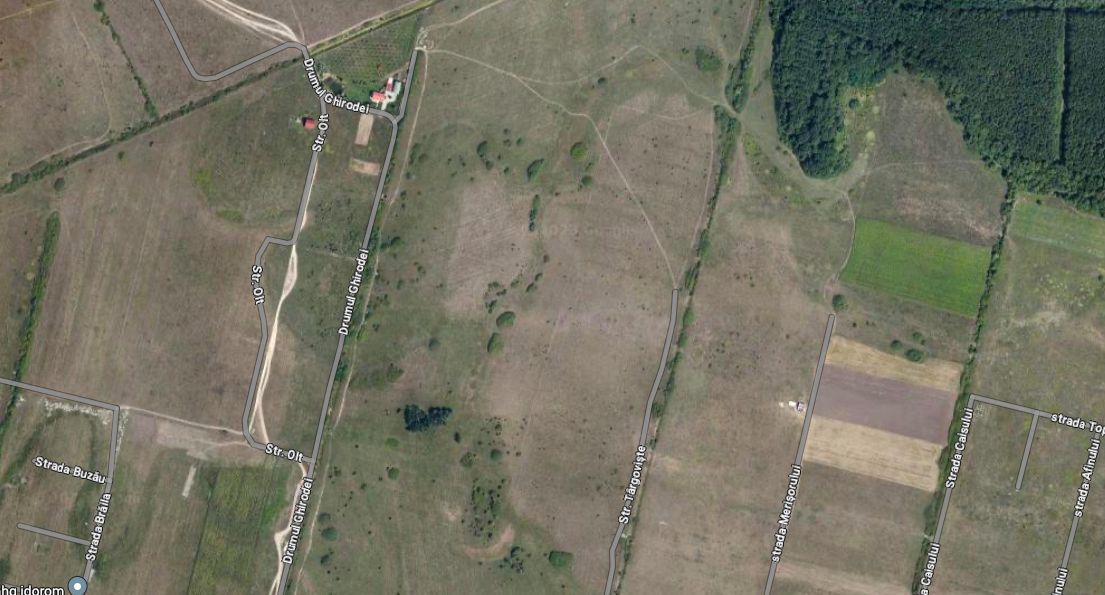 TEREN MOSNITA VECHE-GHIRODA  602 MP - Poză 1