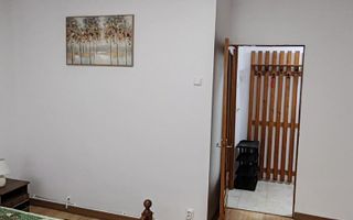 Apartament de închiriat, 2 camere, zona Alexandru cel Bun, lângă Carrefour Gara Mare - Poză 6