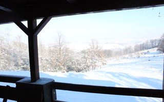 Proprietate rară | 4458 mp teren intravilan | Casă solidă, natură, liniște totală. | Bratca, Bihor. - Poză 49