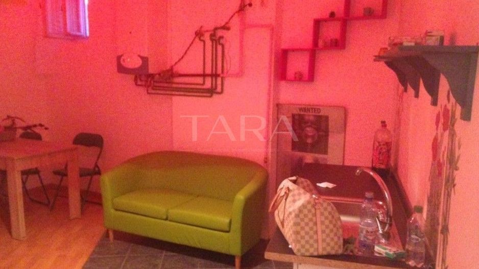 Apartament unic, Ultracentral, curte interioară – zona Casa de Cultura - Poză 2