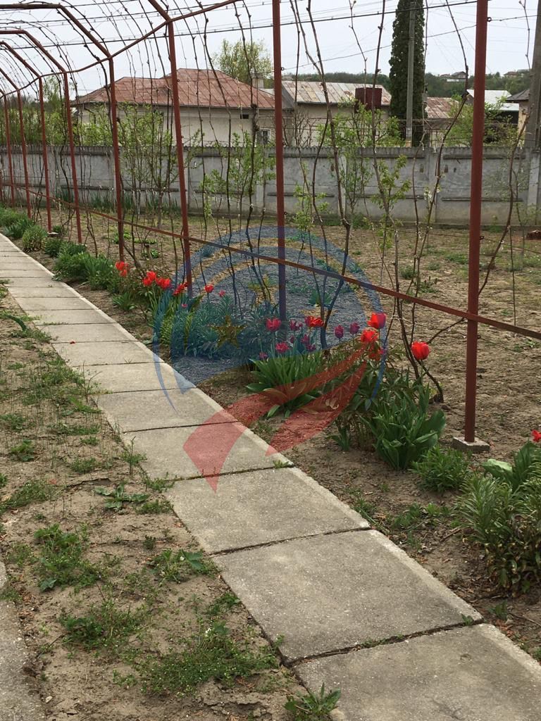 Casa de vanzare/Balcesti/Valcea/Str Pietii - Poză 21
