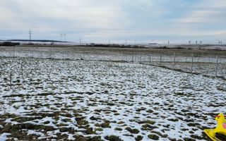 Teren extravilan I Deschidere 15 m I Talmaciu-Sadu - Poză 4