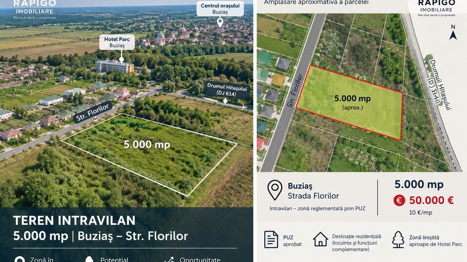 Teren intravilan 5.000 mp | PUZ | Buziaș |10 mp - Poză 2