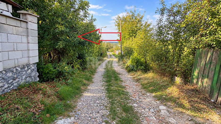 LOT POMICOL DE VÂNZARE – 5,7 ARI | IALOVENI  Î.P. „Floare-Carpet - Poză 4
