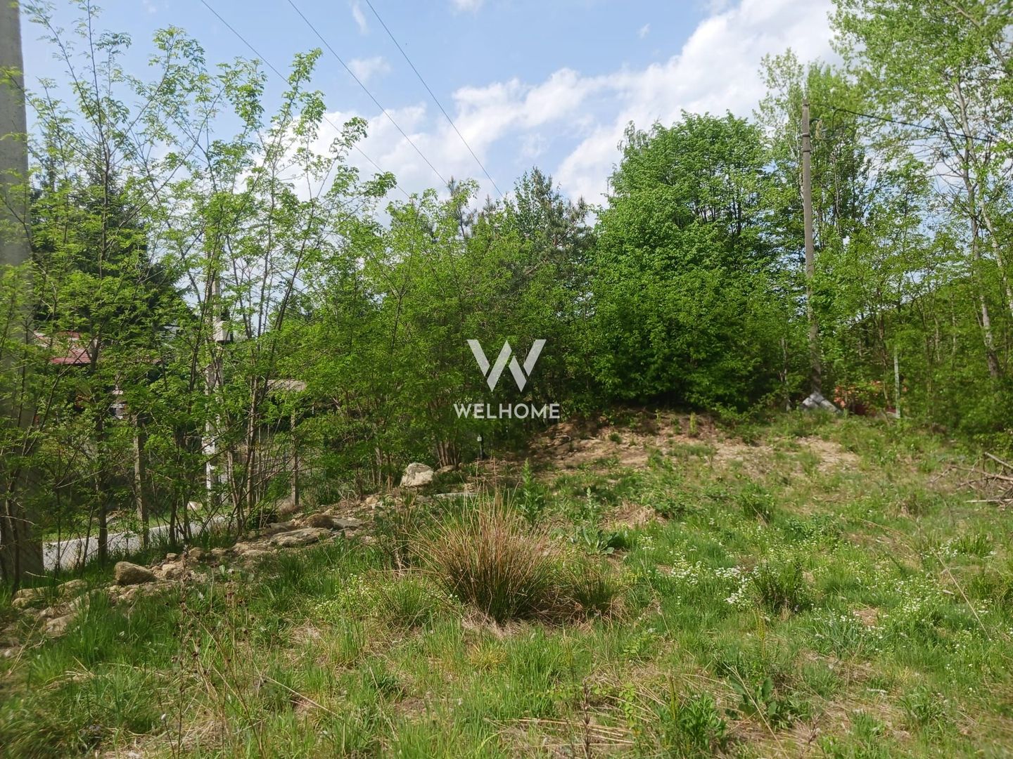 Teren Extravilan situat la intersectia DN1 cu Transfagarasan - Poză 5